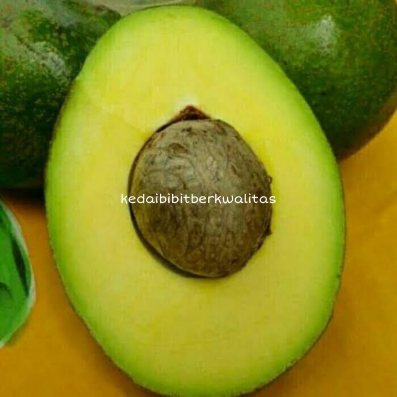 Jual alpukat miki Harga Terbaik Januari 2022 | Shopee Indonesia