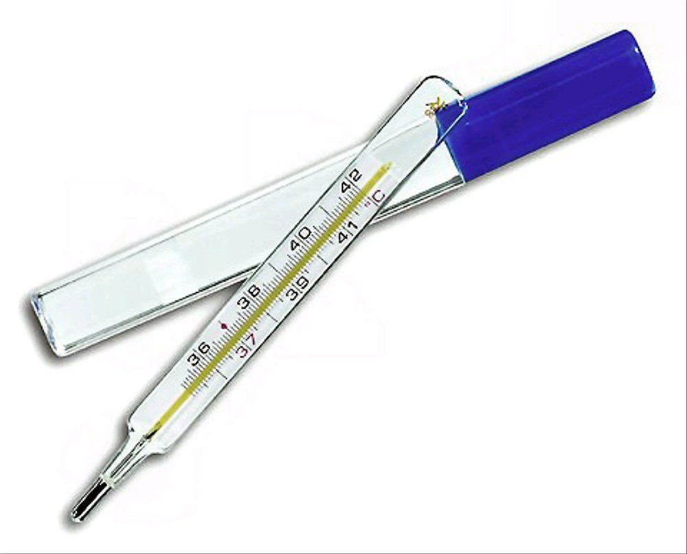 Jual Termometer Air Raksa / Termometer Badan / Termometer Tubuh / Termometer  Digital Indonesia|Shopee Indonesia