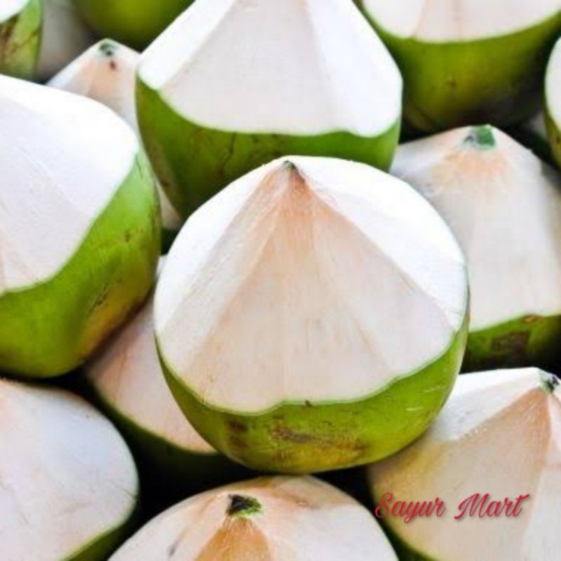 Jual Degan Segar Utuh Kelapa Muda Sehat Fresh Stok Baru Indonesia|Shopee  Indonesia