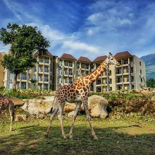 Harga Baobab Resort Terbaru Juli 2021 | BigGo Indonesia