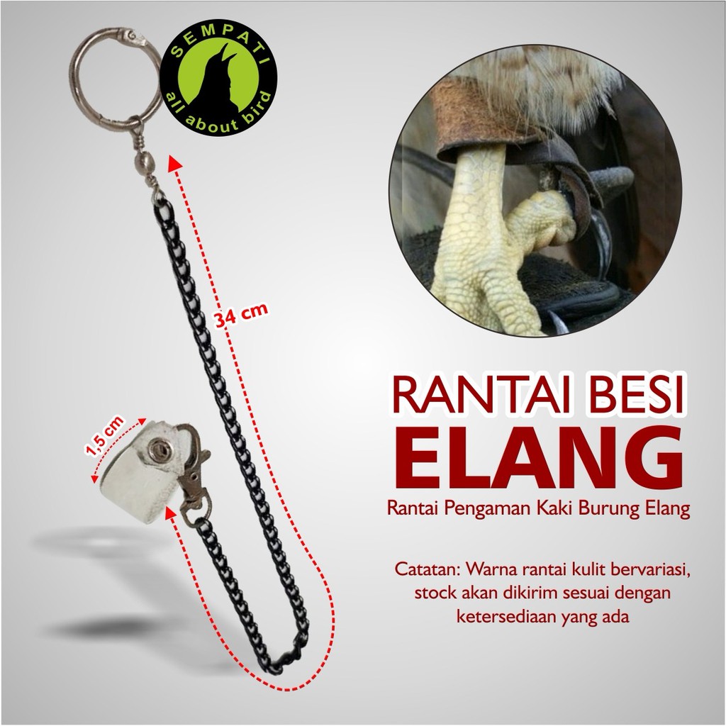 Jual Rantai Bahan Kulit Untuk Kaki Burung Elang Kakatua Grey Parrot Macau Dll Indonesia|Shopee Indonesia 1024_X_1024_jpg