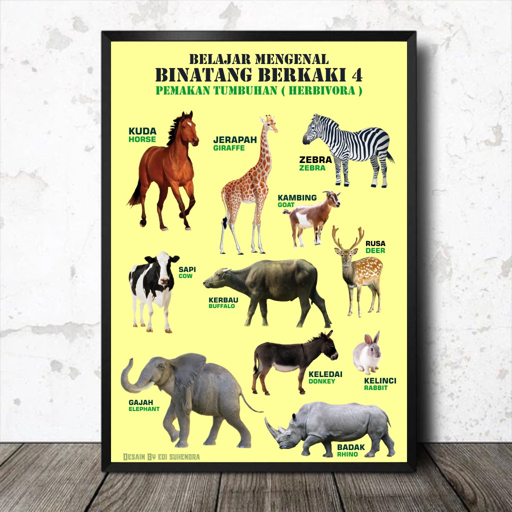 Poster Belajar Tipe 001 - Mengenal binatang/hewan pemakan tumbuhan  herbivora | Shopee Indonesia