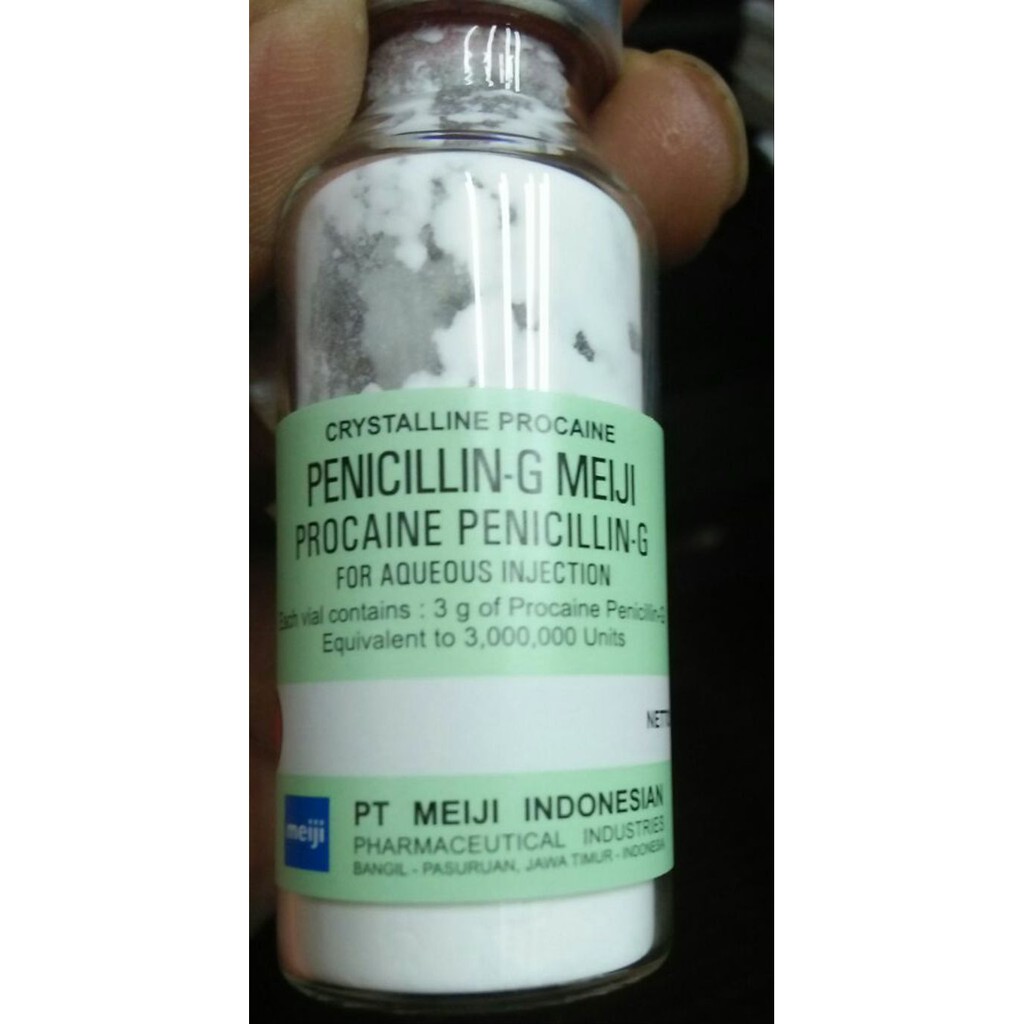 Obat Herbal Penicillin / Penisilin / penicilin / penisillin G-Meiji OB848 |  Shopee Indonesia