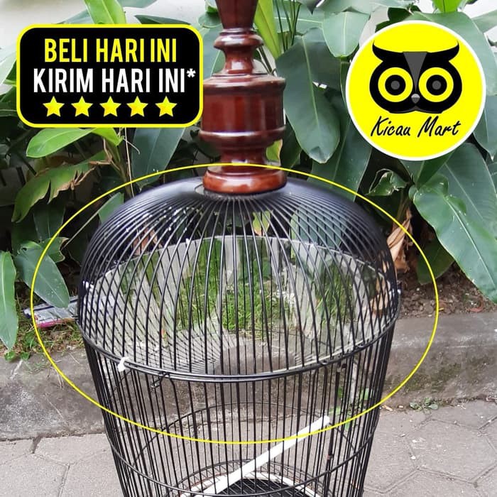 Jual Special JEBAKAN ATAP MIKA PLAFON SANGKAR KANDANG LOVEBIRD BULAT KAPSUL  AMCLBAW Limited Indonesia|Shopee Indonesia