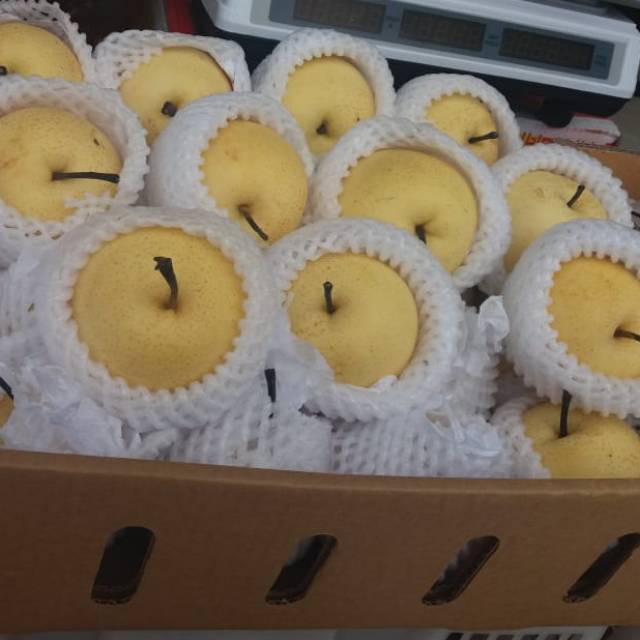 Buah Pear (pir) Century Segar Fresh import | Shopee Indonesia