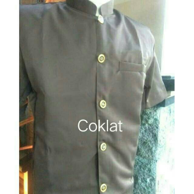 Jual BAJU SAFARI WARNA (grosir /satuan) Indonesia|Shopee Indonesia