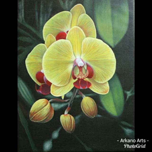 Jual Lukisan Bunga Anggrek Indonesia|Shopee Indonesia 640_X_640_jpg