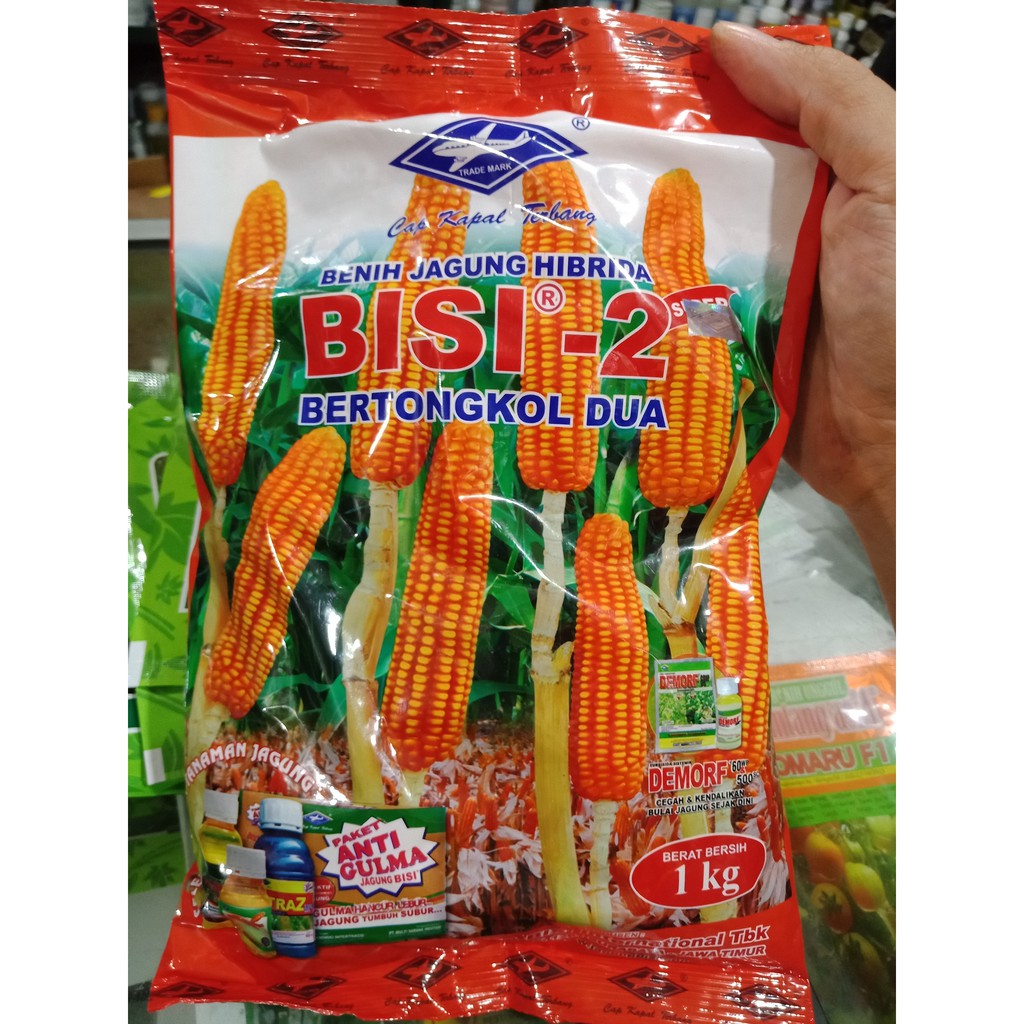Jual 1 kg Benih Jagung Bisi 2 Bibit Tongkol 2 Bisi Cap Kapal Terbang  Indonesia|Shopee Indonesia