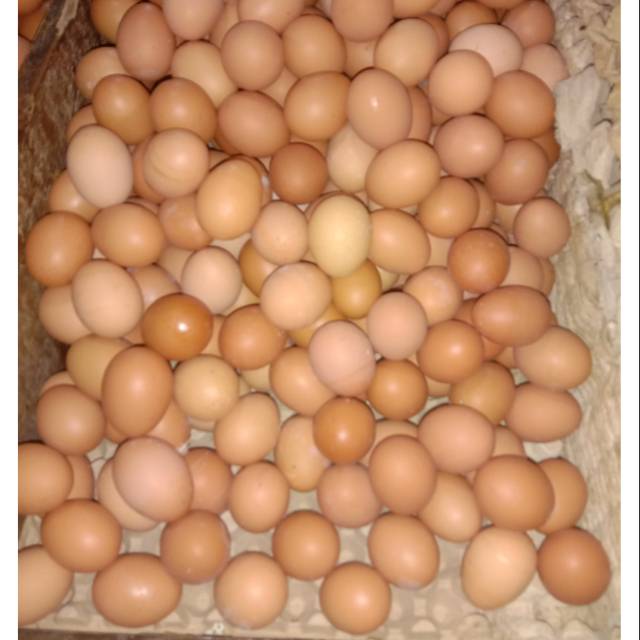 Telur ayam telor ayam endog per kilo isi 18 sampai 20 butir | Shopee  Indonesia
