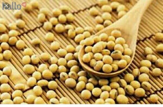 Kacang kedelai 1 kg | Shopee Indonesia