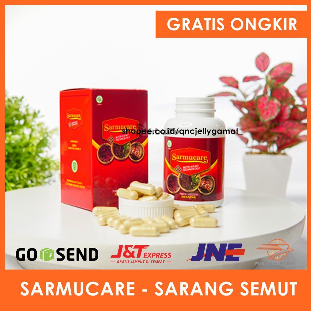 Jual Walatra Sarang Semut Ekstak Sarang Semut Papua Sarmucare Mecodia  Herbal Original Isi 100 Kapsul BPOM Indonesia|Shopee Indonesia