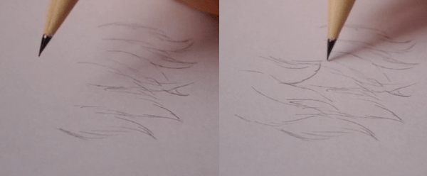 как нарисовать шкуру медведя