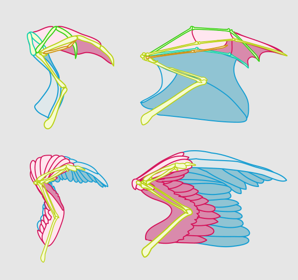 нарисовать крылья на спине