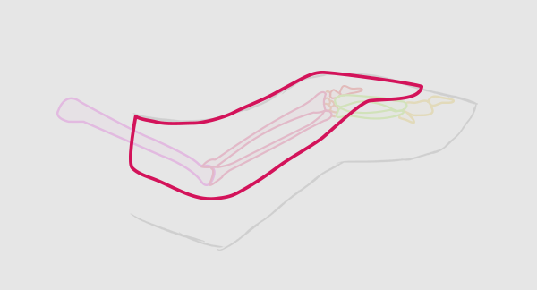 аниме крылья рисовать