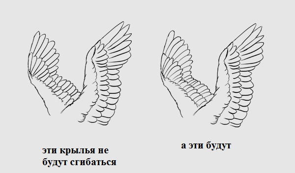 нарисовать крылья на спине
