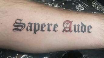 Sapere-Aude-Tattoo-157304 – Charlotte Swindell – Wip 192_x_342_jpg