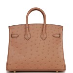Her Birkin 25 Chai Ostrich Gold Hardware