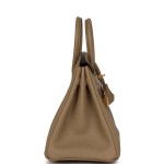 Her Birkin 25 Beige Marfa Togo Gold Hardware