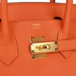Her Birkin 30 Orange Clemence Gold Hardware