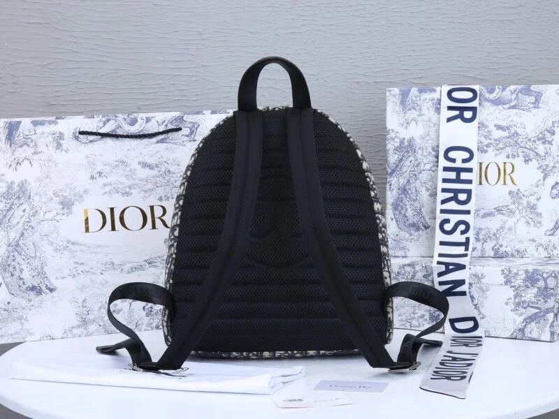 Dior 38Cm Rider Backpack Beige/Blue