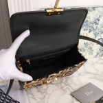 Dior Leopard 30 Montaigne Bag