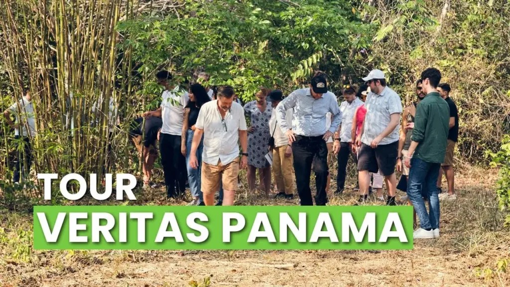 Expat Money ®: Touring Panama’s Premier Off-Grid Luxury Community: Veritas Village