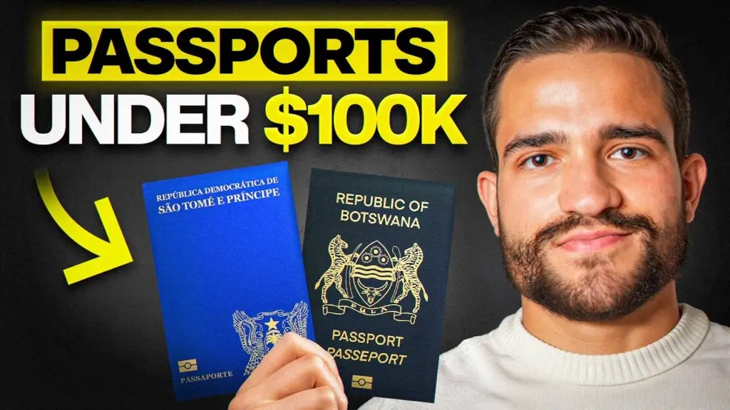 Wealthy Expat: 2 Passports You Can Get For Less than $100K USD