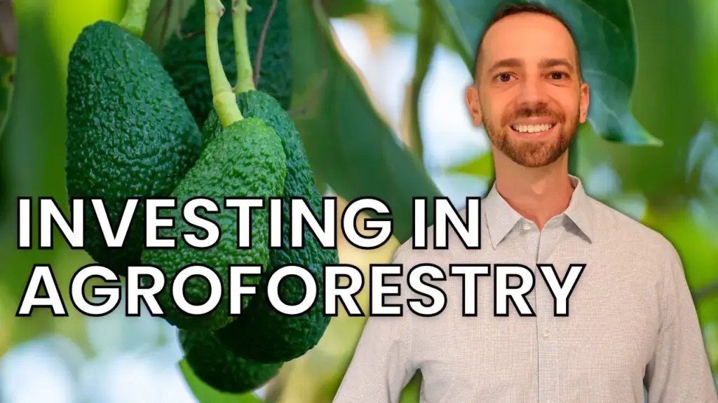 Expat Money ®: Agroforestry: Obtain a Valuable Second Residency and a Great Investment All At Once?
