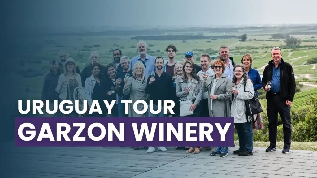 Expat Money ®: Exploring Garzón Winery: Uruguay’s Hidden Wine Paradis