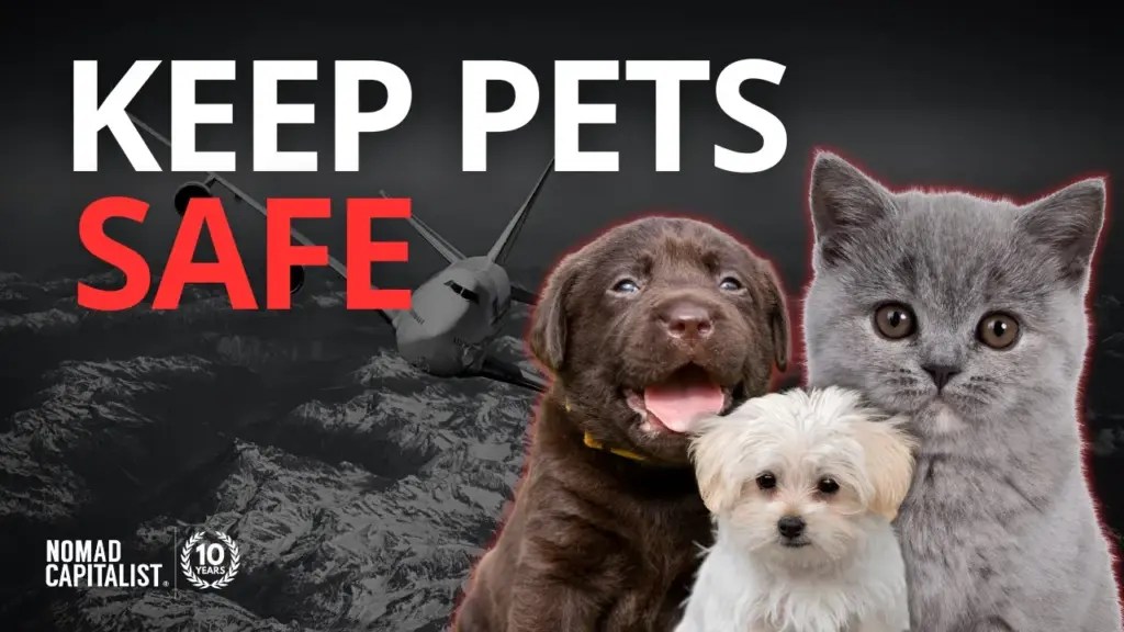 Nomad Capitalist: How to Travel Safely With Pets