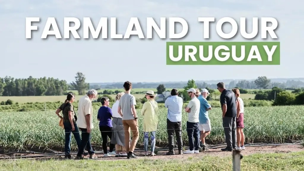 Expat Money ®: Explore Uruguay’s HIDDEN Farmland Gems!
