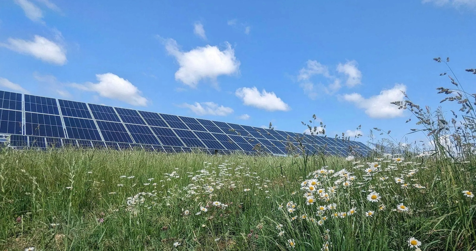 More Evidence That The War On Solar Energy Is A #FAIL More Evidence That The War On Solar Energy Is A #FAIL