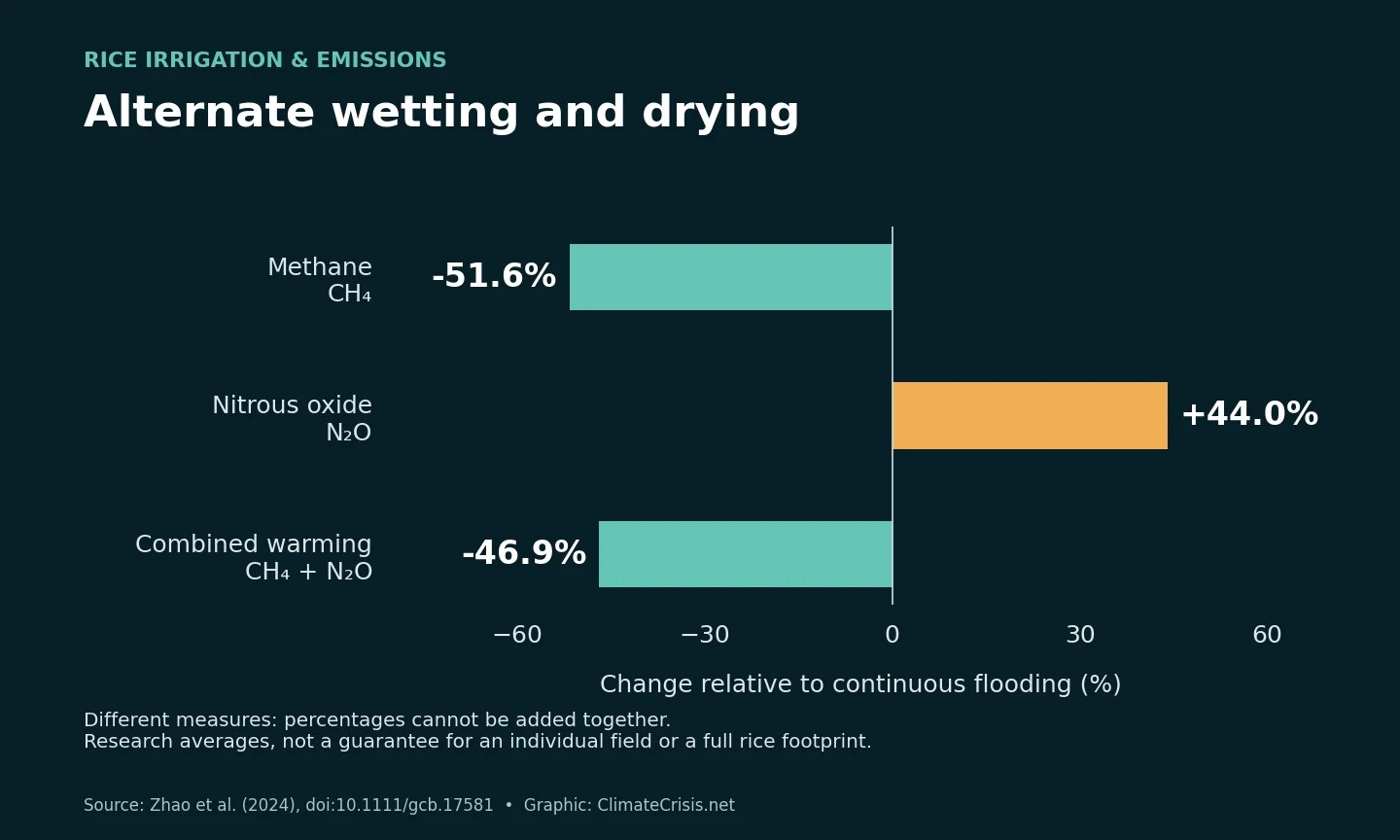AWD versus continuous flooding: methane falls 51.6%, nitrous oxide rises 44.0%, and their combined warming potential falls 46.9% in a 2024 meta-analysis.
