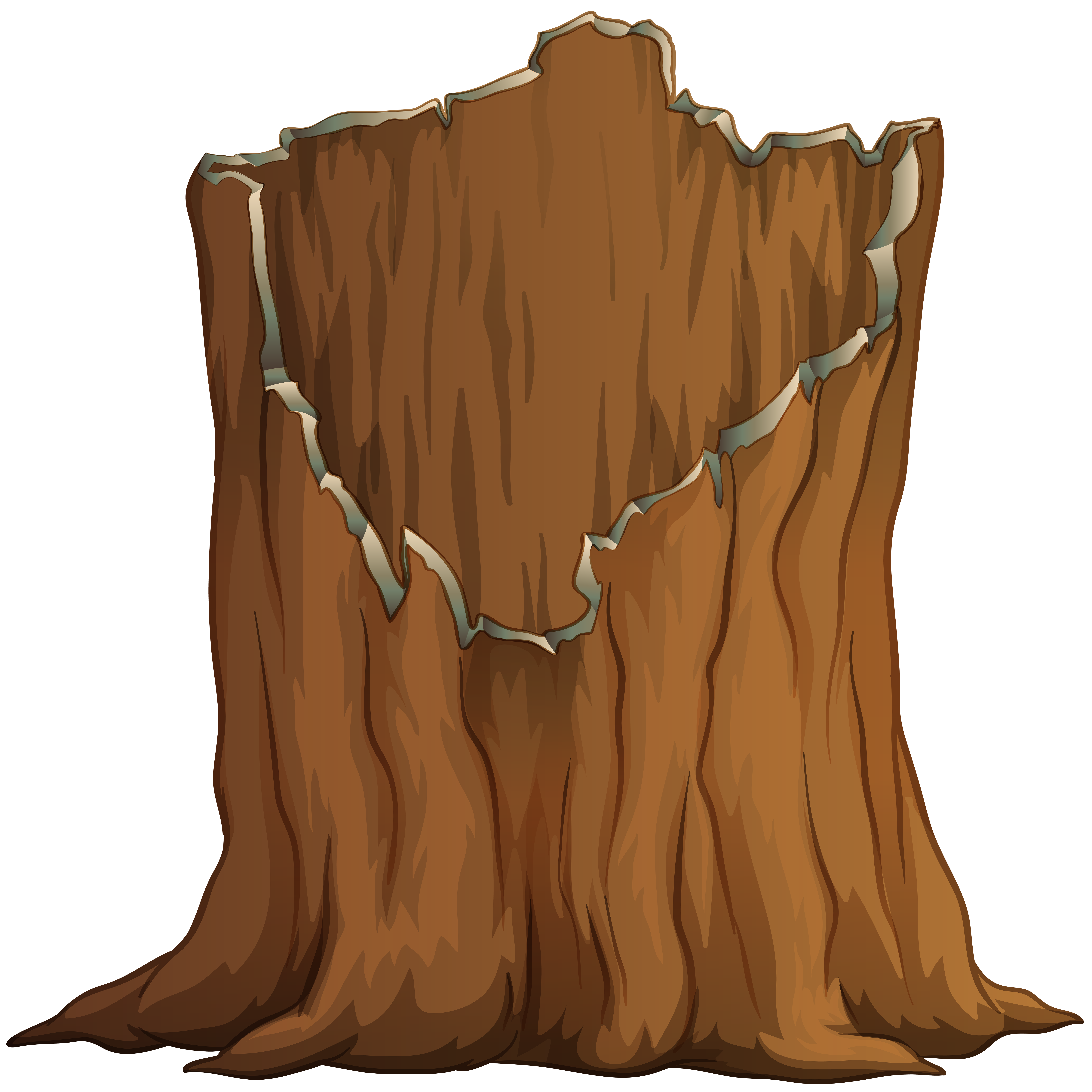 Tree bark clipart
