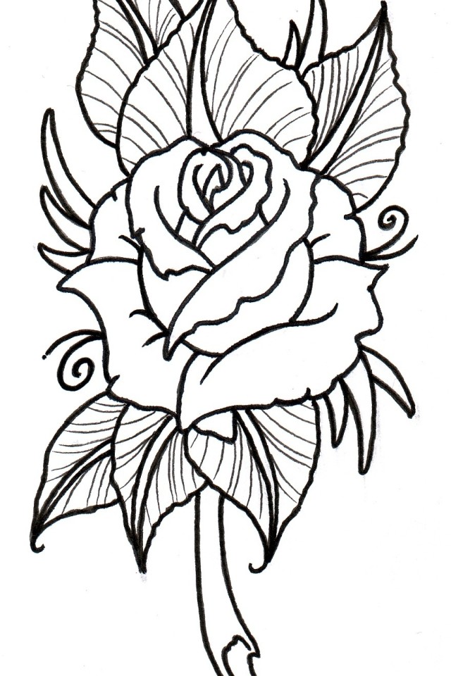 Neo Traditional Rose Drawing - Clip Art Library 960_x_640_jpg