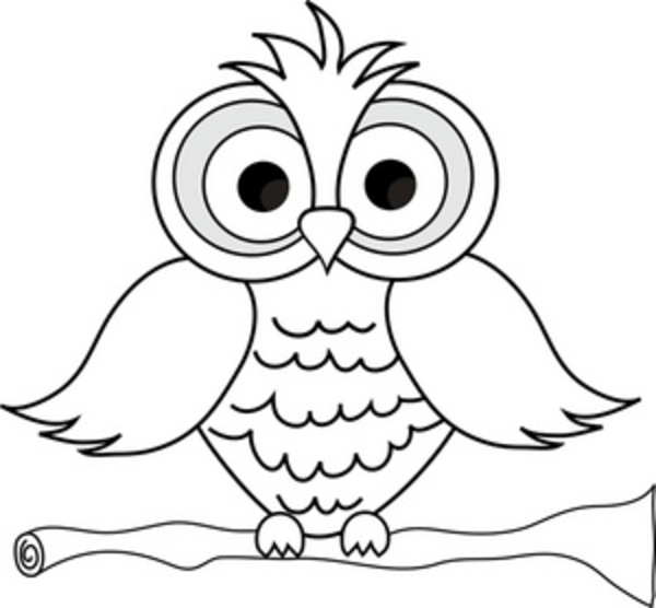 Free Owl Images Black And White, Download Free Owl Images Black And White Png Images, Free Cliparts On Clipart Library 556_X_600_png