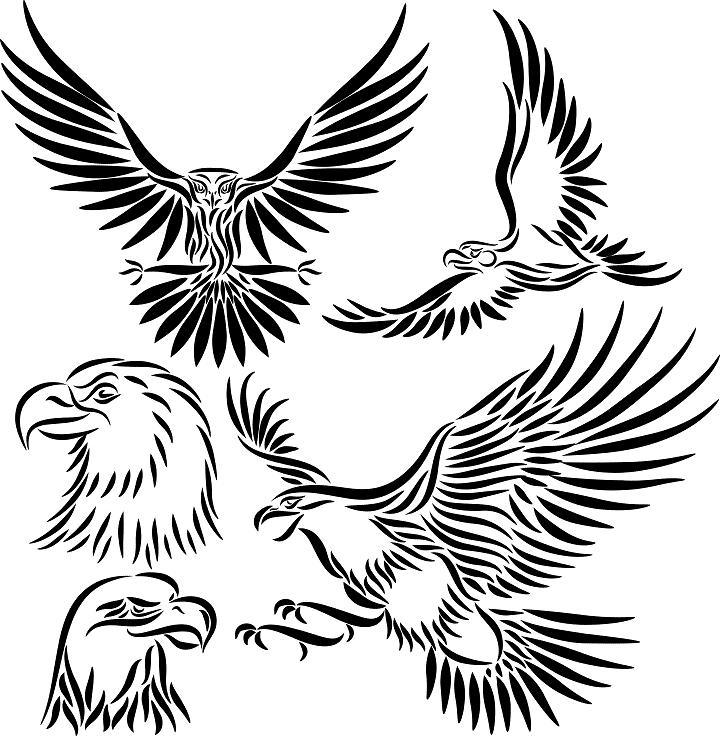 Free Mexican Eagle Tribal Tattoo, Download Free Mexican Eagle Tribal Tattoo Png Images, Free Cliparts On Clipart Library 736_x_720_jpg