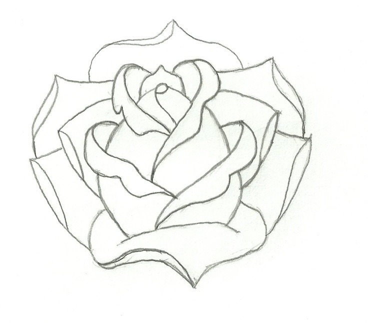 Free Rose Outline, Download Free Rose Outline Png Images, Free Cliparts On Clipart Library 646_x_736_jpg