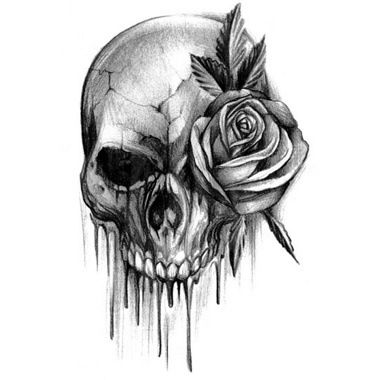 Skull And Rose Drawing - Clip Art Library 380_x_380_jpg