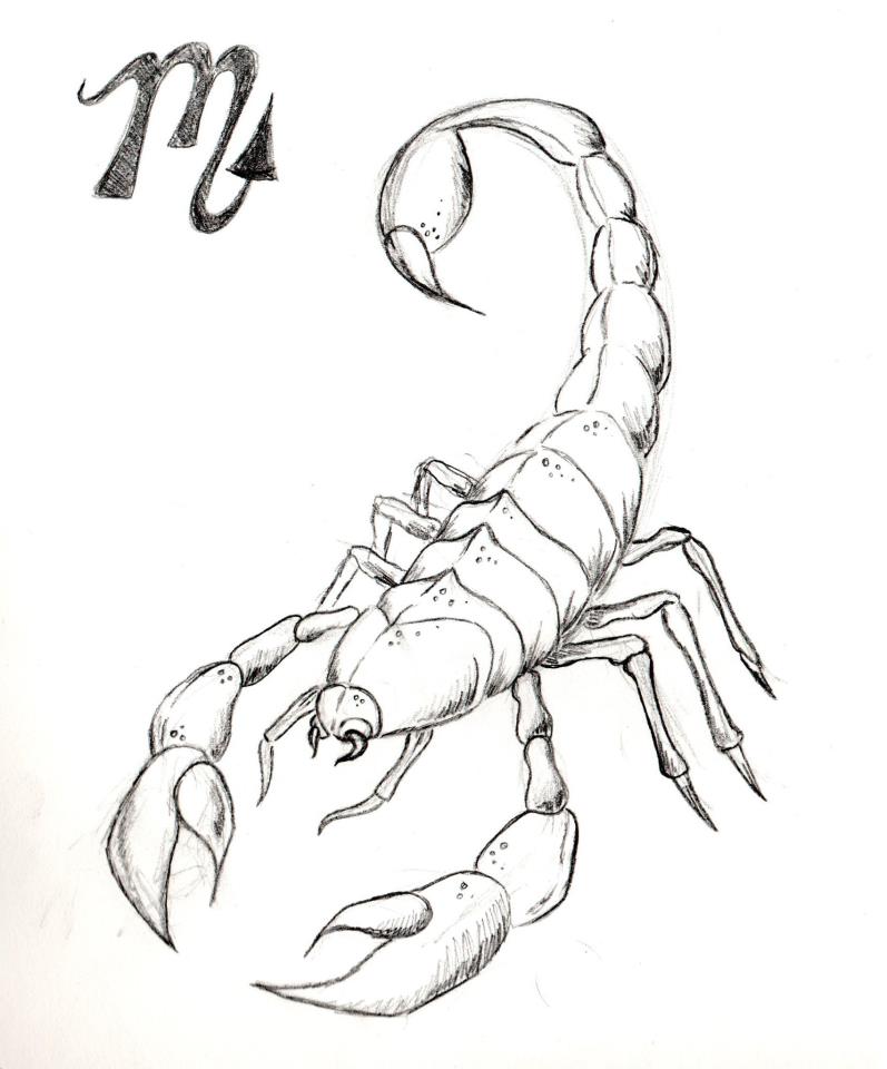 Free Scorpion Drawing, Download Free Scorpion Drawing Png Images, Free Cliparts On Clipart Library 960_x_797_jpg