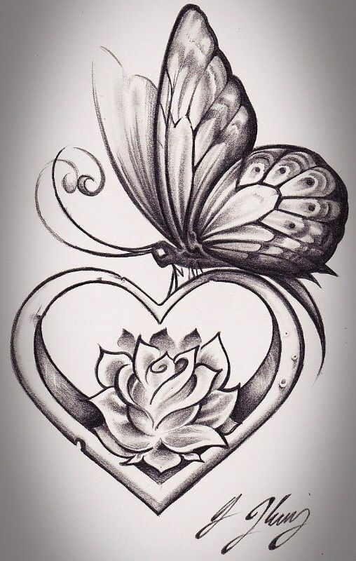 Free Rose With Ribbons Drawings, Download Free Rose With Ribbons Drawings Png Images, Free Cliparts On Clipart Library 800_x_508_jpg