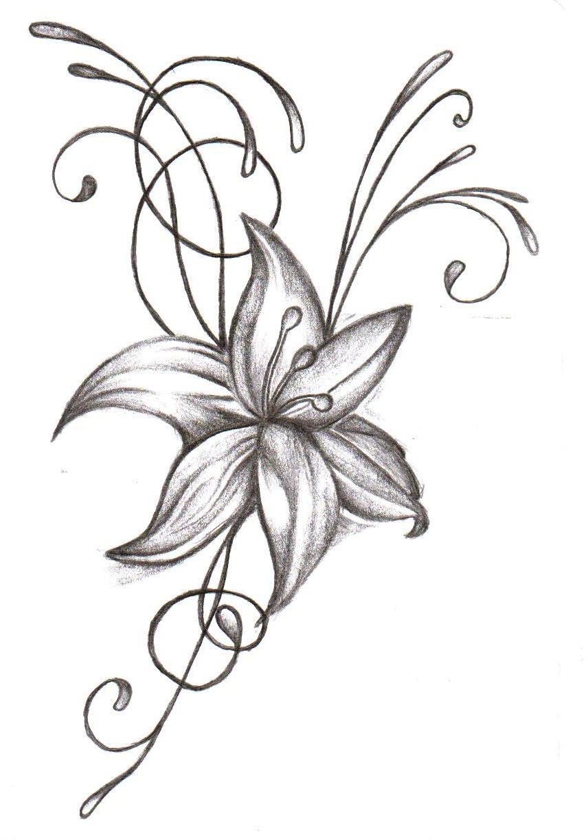 Easy Drawing Ideas Of Flowers - Clip Art Library 1221_x_856_jpg