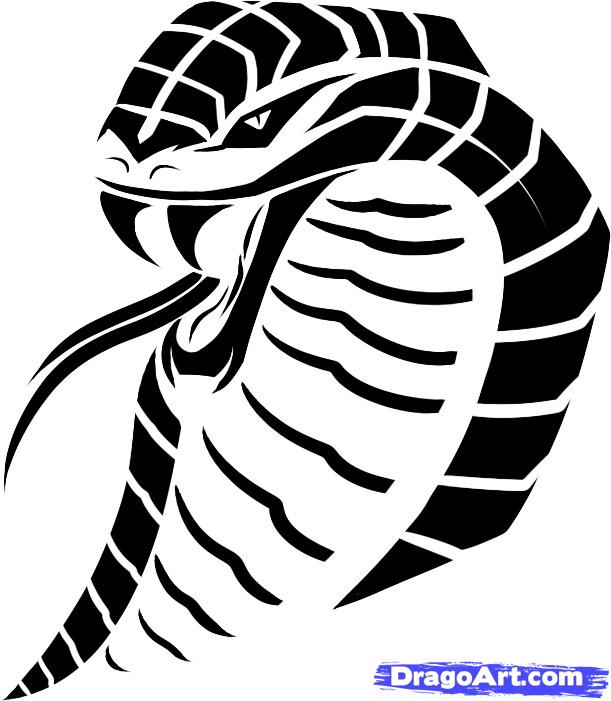 Free Tribal Snake Cliparts, Download Free Tribal Snake Cliparts Png Images, Free Cliparts On Clipart Library 701_x_611_jpg