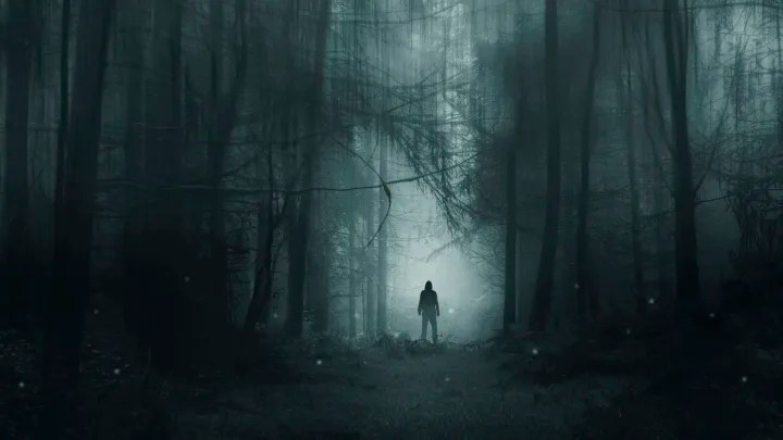 The Dogs Come Out At Night – Part 2 – The Horror Blog