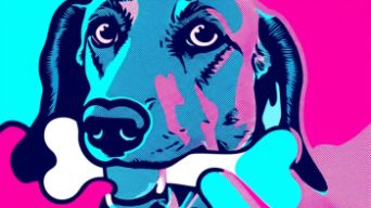 A Quick Overview of Wills