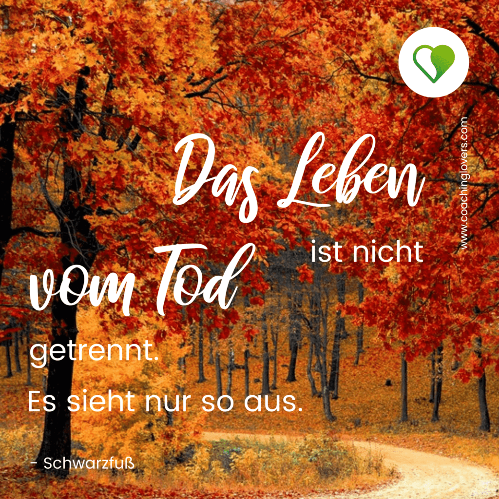 50 Indianische Weisheiten: Die Besten Zitate - Coachinglovers 1024_x_1024_png