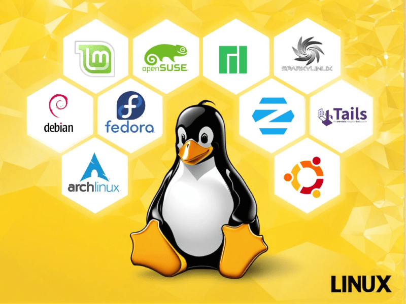 linux tech tips net worth