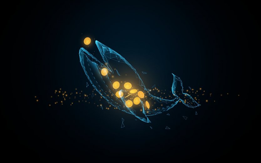 Crypto Whale Withdraws $15 Million From Binance - Market Impact Looms 3 Whale