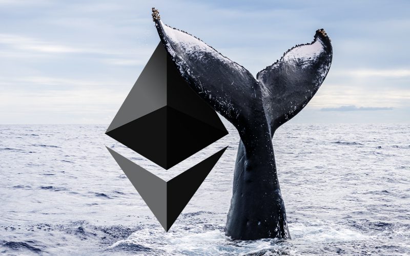 ETH Whales Signal Bullish Sentiment: $150 Million Worth Of ETH Call Options Traded On Deribit 1 Whales Signal Bullish Sentiment: $150 Million Worth Of ETH Call Options Traded On Deribit