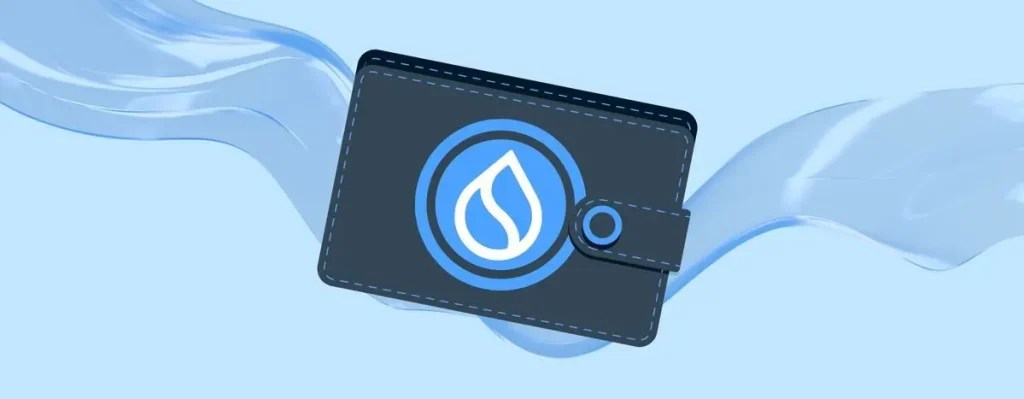 Top Sui Wallets You Can Trust in 2025 2 Overview of Sui Wallets in 2025